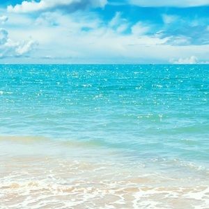 Meet your Posher, Jen